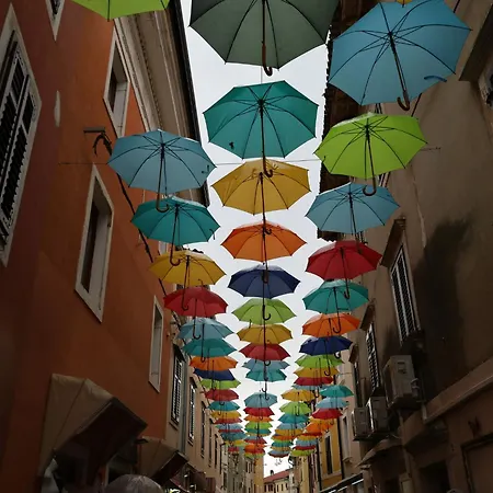 Martina Mit Terrasse By Interhome Novigrad Istria