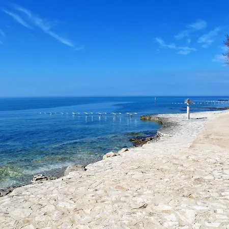 Martina Mit Terrasse By Interhome Apartment Novigrad (Istria)