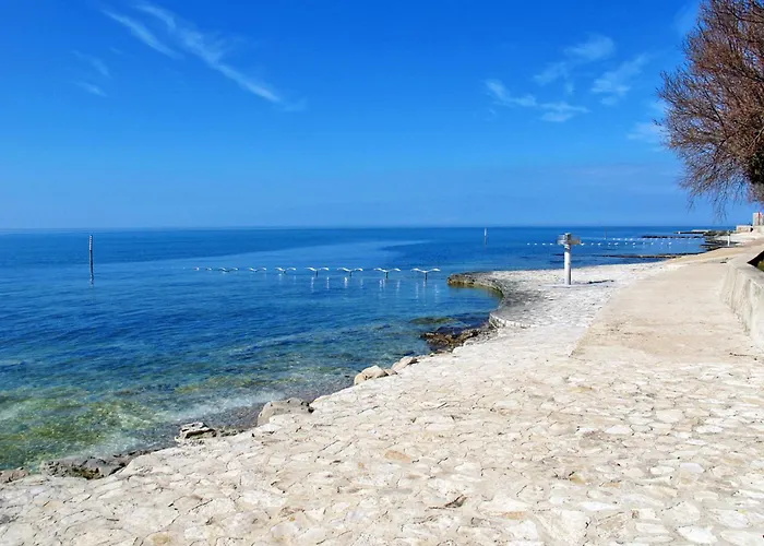 Martina Mit Terrasse By Interhome Apartment Novigrad (Istria)